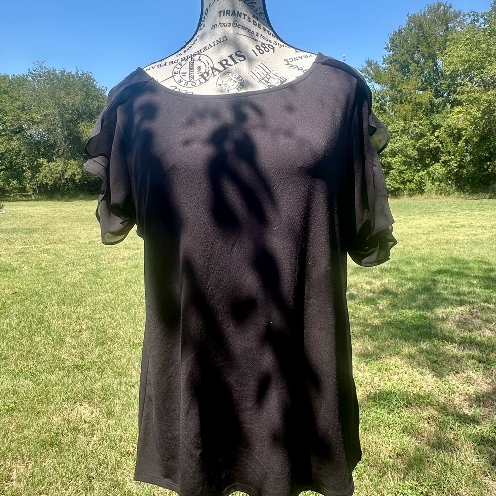 Elegant Black Women's Top w/sheer ruffled sleeves